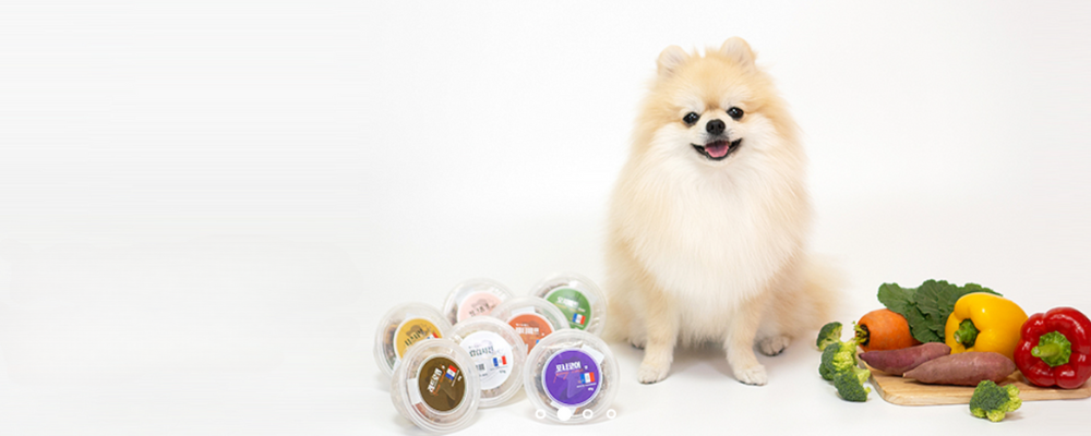 ペットスチュワードジャパン